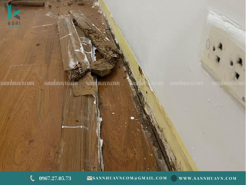 sàn gỗ công nghiệp chống mối mọt tốt nhất